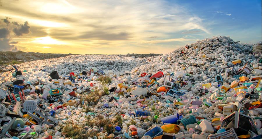 Plastics Contamination in the Sea Image